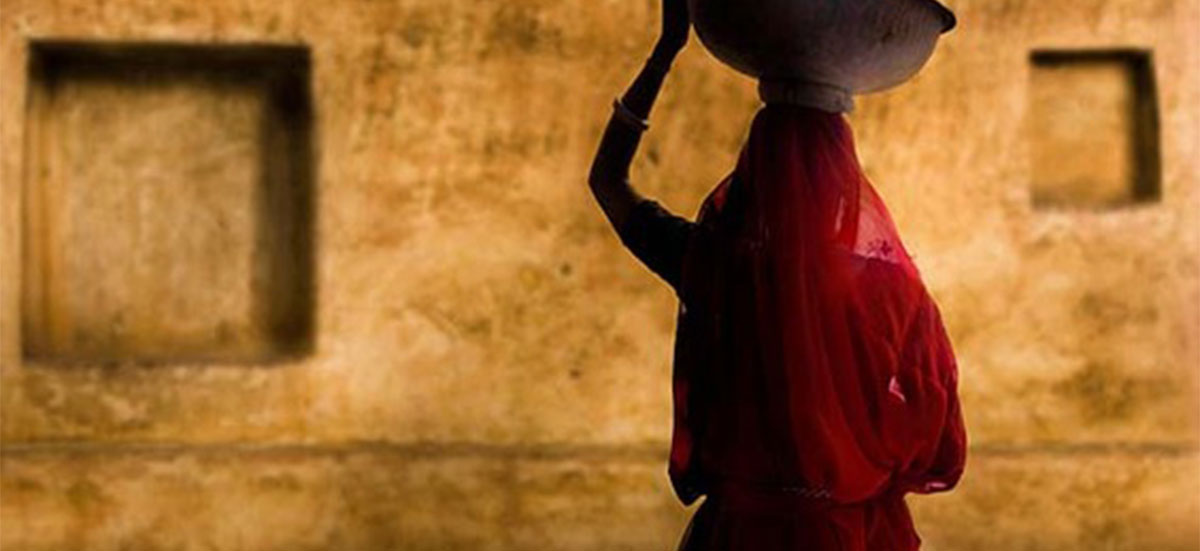 In The Shadow of Crows - a book by David Charles Manners